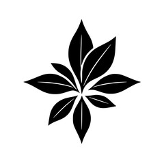 Black and white leaves on white background with leaves composition.