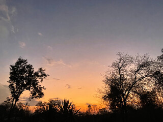 A serene sunset scene with silhouettes of trees against a colorful sky transitioning from orange to purple, evoking tranquility and natural beauty.
