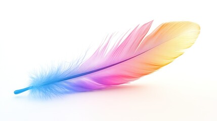 Obraz premium A Single Rainbow Feather