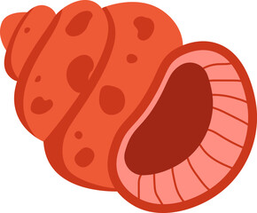 Cartoon Seashell Mollusk