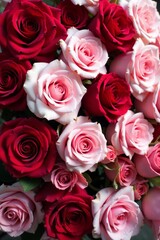 Fototapeta premium Close-up shot of a wall covered in beautiful red and pink roses, close-up, flowers
