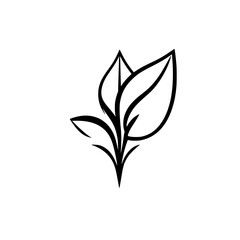 Minimalist black and white drawing of three leaves emanating from a central point.