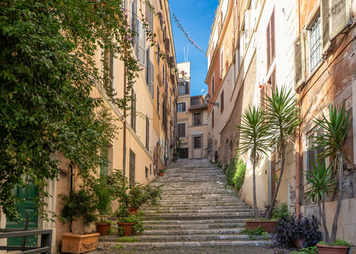 Fototapeta Old cozy street with stairs and plants in Rome, Italy