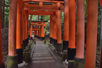 京都、伏見稲荷の鳥居