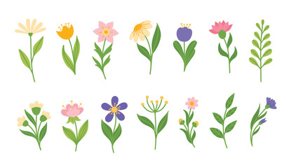 Set of bright spring and summer flowers
