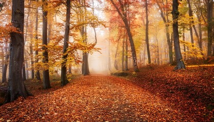 Obraz premium Autumn forest with golden and red leaves covering the ground, a misty path leading into the trees. The scene evokes a peaceful, tranquil atmosphere, capturing the essence of fall. 