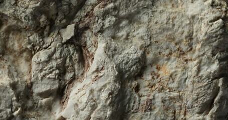 Rough Stone Surface with Texture