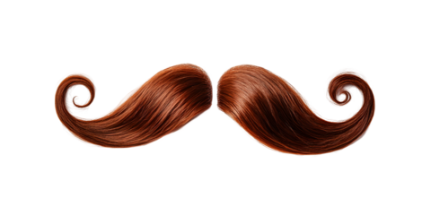 Majestic chestnut brown hair mustache curled at the ends, cut out, kept on white or transparent background