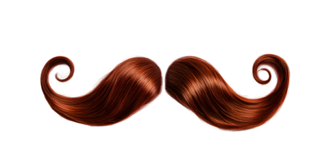 Majestic chestnut brown hair mustache curled at the ends, cut out, placed on white or transparent background