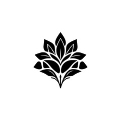 Black-and-white, floral, symmetrical, and geometric representation of leaves radiating from a central point against a white background.