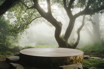 Foggy Forest Scene Featuring a Stone Presentation Podium Surrounded by Mossy Trees and Natural Foliage