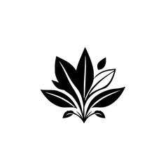 Elegant black and white graphic of a plant silhouette, nature, and leaves.