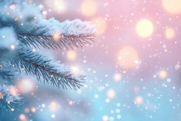 Snowy pine branch with bokeh lights.