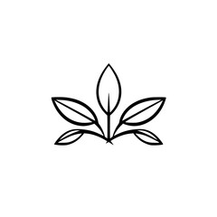 Botanical Illustration of a Simple, Minimalist Black and White Leaf Structure.