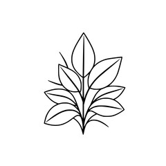 Minimalist plant illustration of leaves, showcasing a black outline against a white backdrop.