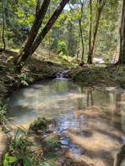 Obraz premium Stream running down into a clear pond