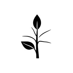 Minimalist black and white illustration of a single plant, with leaves, stem, and minimalist background.