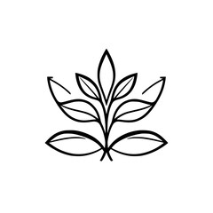 Stylized black and white illustration of a plant, leaves and branches.