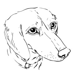 Outline of a dog for children's coloring