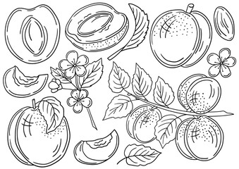 Set of color illustrations in hand draw style