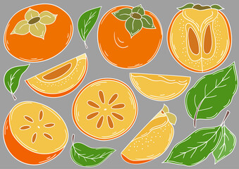 Set of color illustrations in hand draw style