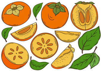 Set of color illustrations in hand draw style