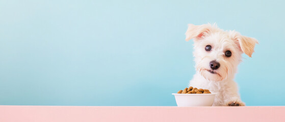 cute puppy curiously looks at bowl of nutritious pet food against pastel background