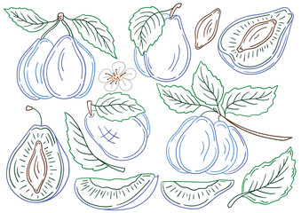 Set of color illustrations in hand draw style