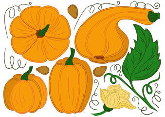 Set of color illustrations in hand draw style