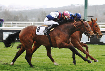 Llegada emocionante entre dos jockeys en una jornada con lluvia de carreras de caballos con puransangres ingleses