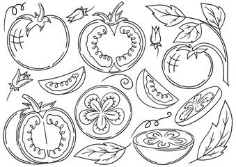 Set of color illustrations in hand draw style