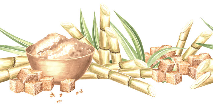 Shugar cane with leaves and brown sugar cubes. Seamless border of plantation harvest. Hand drawn watercolor illustration. Product for cooking and bakery. Template for food design, textile, packaging.