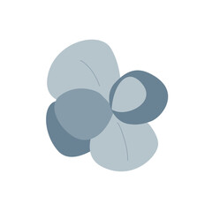 Branch of silver dollar or baby blue pulverulenta eucalyptus. Gum tree twig isolated design element. Vector cartoon illustration