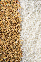 rice seeds and ears of rice texture background.