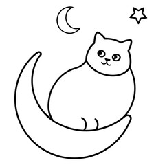 cat and moon