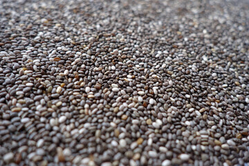 Raw soya beans background with blur effect close-up.