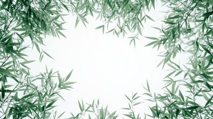 serene bamboo foliage frame against a pristine white backdrop creating a calming natural border for design and artistic purposes in a tranquil setting