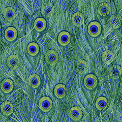 Obraz premium Seamless Peacock Feathers watercolor pattern