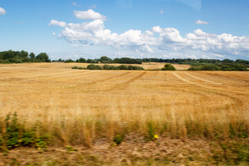 Obraz premium view of field from moving car. blur