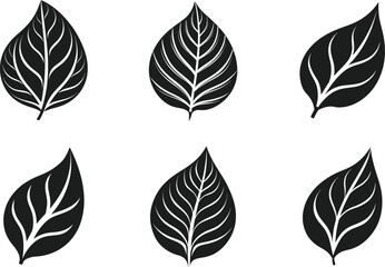 Obraz premium Set of Elegant Leaf Silhouettes - Botanical Vector Illustration