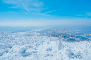 Fototapeta premium 山形蔵王の美しい樹氷