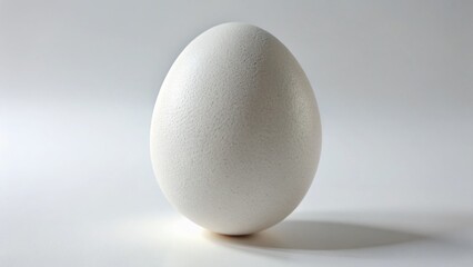 Realistic White Chicken Egg, Volumetric Easter Egg Isolated on White Background - Stock Photo