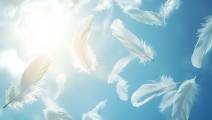 Obraz premium White feathers floating in the sky