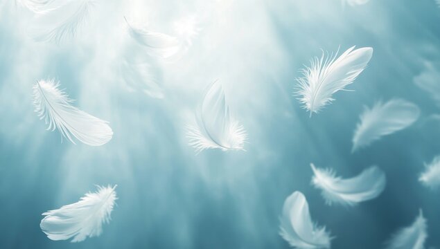 Floating feathers in light teal background
