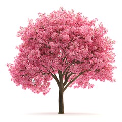 Fototapeta premium Blossoming Beauty: A vibrant, full-bloom cherry blossom tree stands majestically, its branches laden with delicate pink flowers, evoking the essence of spring and renewal.