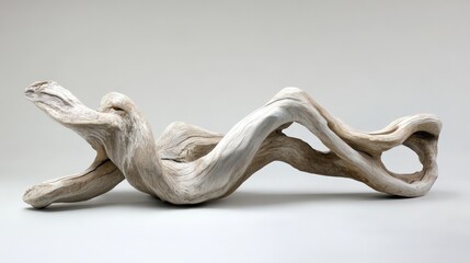 Obraz premium Abstract Driftwood Sculpture Organic Form Design