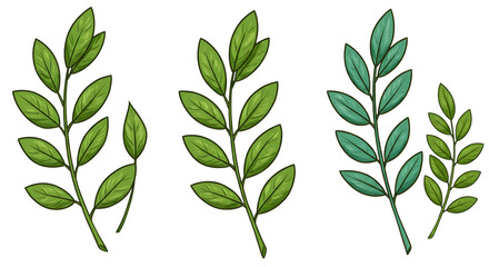 Leafy Green Branches Illustration on Black Background for Botanical Designs