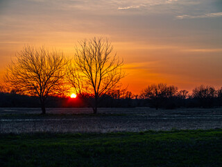 Thompson Park Sunset
