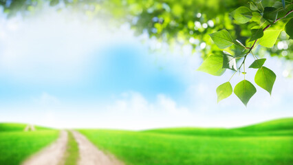 Obraz premium A bright and serene summer landscape featuring a lush green field under a clear blue sky