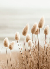 Close-up of delicate beige bunny tails grass swaying in the breeze with a blurred ocean background, evoking tranquility and coastal serenity